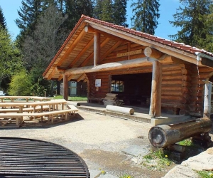 Cabane forestière 