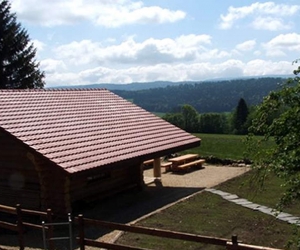 Cabane forestière 