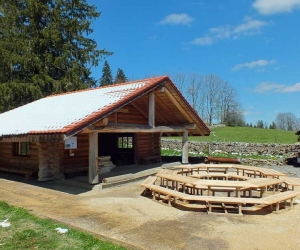 Cabane forestière 