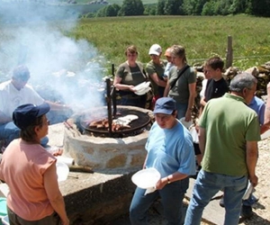 Cabane forestière 